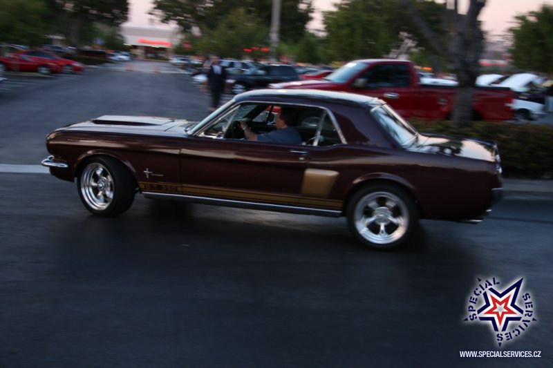 IMG_3723 copy.JPG