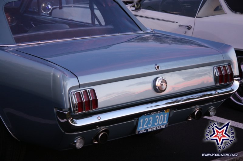 IMG_3774 copy.JPG