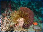 DSCN0107.JPG