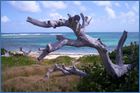 Pinel island 070.jpg