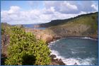 The Tradewinds 053.jpg