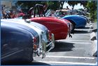 IMG_8856.JPG