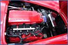 IMG_8916.JPG