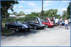 IMG_8959.JPG