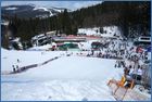 IMG_5742.JPG