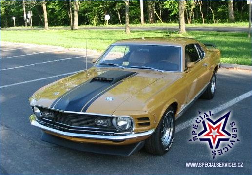 mustang mach 1.jpg