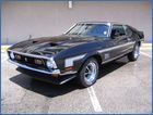 mustang  mach1 1971.jpg