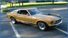 mustang mach 1 -5.jpg