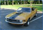 mustang mach 1.jpg