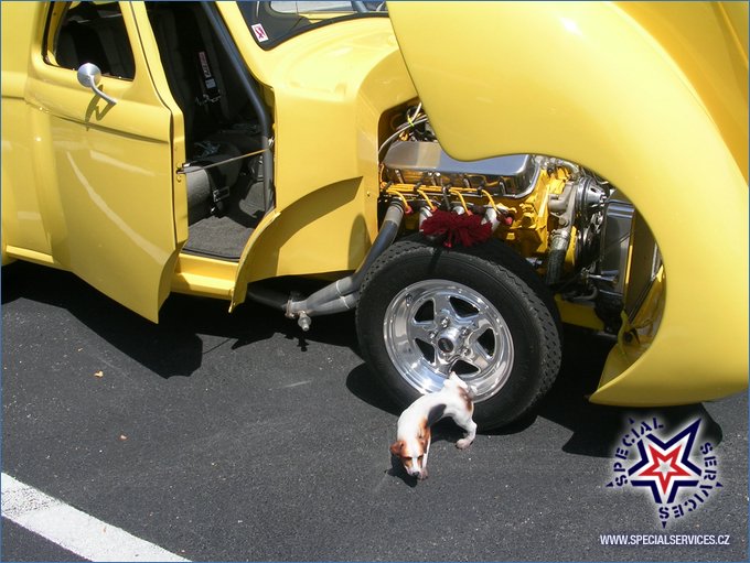 DSCN2639.JPG