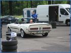IMG_1711.JPG